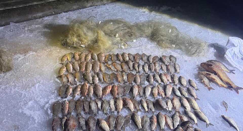 6eb3c445662d1f9395e27c2dd5e44ff5