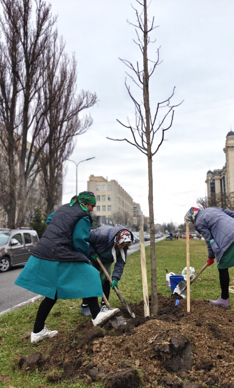 017b7f30edf2091f72dd9231c4fb6e46