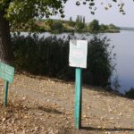 Заказник «Сандарацький» на Вінниччині відсудили на користь державі