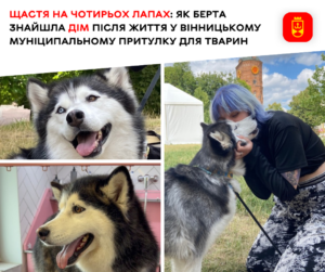 Берта знайшла щастя: історія Вінницького муніципального притулку для тварин