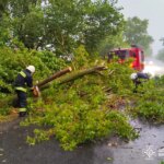 Буревій на Вінниччині: надзвичайники ліквідують наслідки