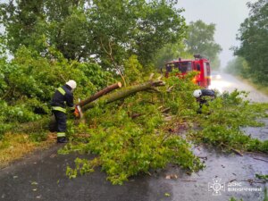 Буревій на Вінниччині: надзвичайники ліквідують наслідки