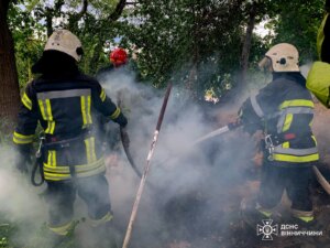 Добре, ось кілька варіантів тайтлу, які відповідають вашим вимогам:
Варіант 1 (Акцент на причину):
Дитячі пустощі спричинили пожежу: на Вінниччині згорів піднавіс із сіном
Варіант 2 (Коротший та пряміший):
Вінниччина: дитячі пустощі ведуть до втрат – згорів піднавіс із сіном
Варіант 3 (З акцентом на наслідки):
Жахливі наслідки дитячих пустощів: на Вінниччині вогонь знищив піднавіс із сіном
Варіант 4 (Більш емоційний):
Небачена біда на Вінниччині: через пустощі дітей згорів важливий піднавіс із сіном