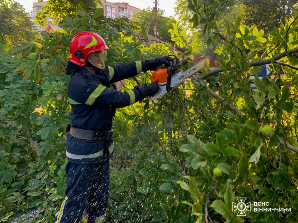 Сталеві серця Вінниччини: як різали "зелені" перешкоди на шляхах