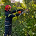 Сталеві серця Вінниччини: як різали “зелені” перешкоди на шляхах