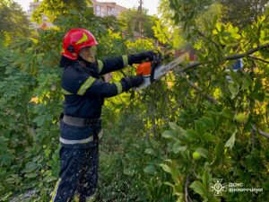 Сталеві серця Вінниччини: як різали "зелені" перешкоди на шляхах
