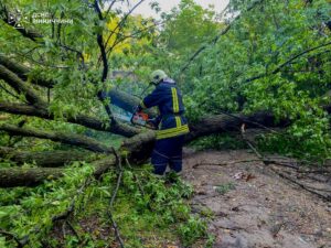 Гроза на Вінниччині: наслідки нічної бурі усувають.