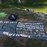 Вінниччина: Браконьєр завдав шкоди природі на 382 тисячі гривень