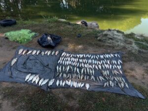 Вінниччина: Браконьєр завдав шкоди природі на 382 тисячі гривень