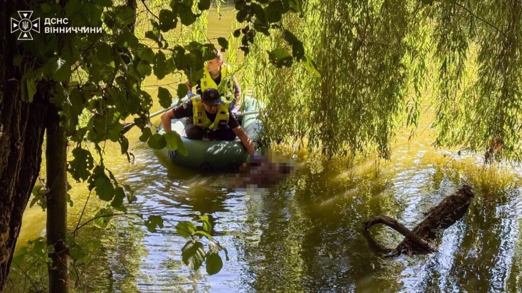 Вінницький ставок забрав життя: 55-річна жінка потонула на Старому місті.