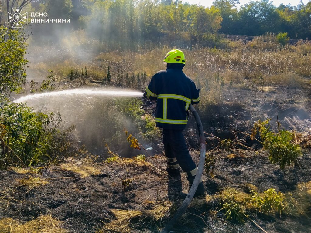 Вісім гектарів зелені перетворились на попіл на Вінниччині за одну ніч.