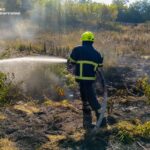 Вісім гектарів зелені перетворились на попіл на Вінниччині за одну ніч.