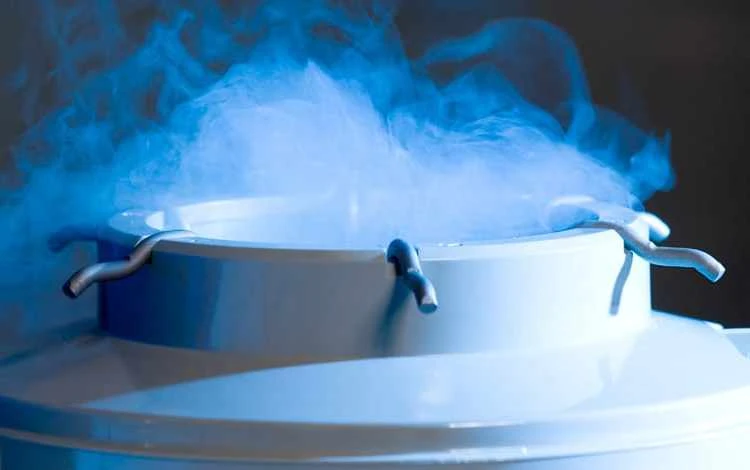 arkcryo