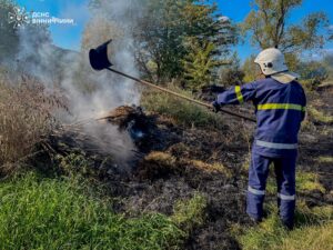 На Вінниччині вогонь палить три гектари: тривожні новини з поля.