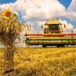 Вінниччина: осінній жниварський гарт у розпалі