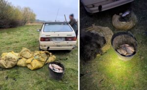 На Вінниччині: Грубе порушення правил рибальства викрито.