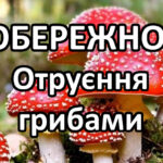 Отруєння грибами на Вінниччині: четверо постраждалих з початку осені.